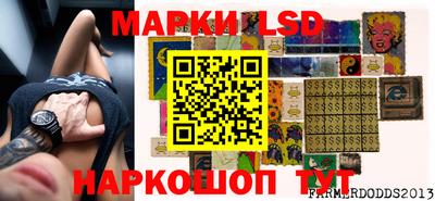 spice Новодвинск