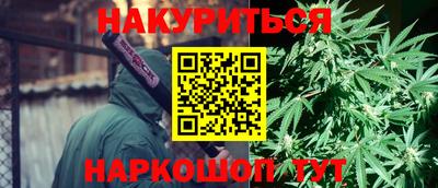 spice Новодвинск