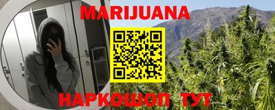 spice Новодвинск