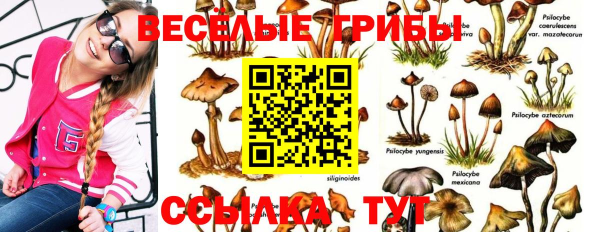 Галлюциногенные грибы MAGIC MUSHROOMS Томск